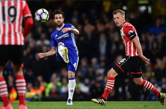 99视频精品全部免费免费观