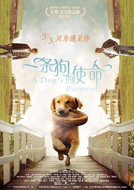 社团房间里的回忆