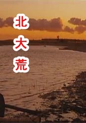 岛国av在线免费
